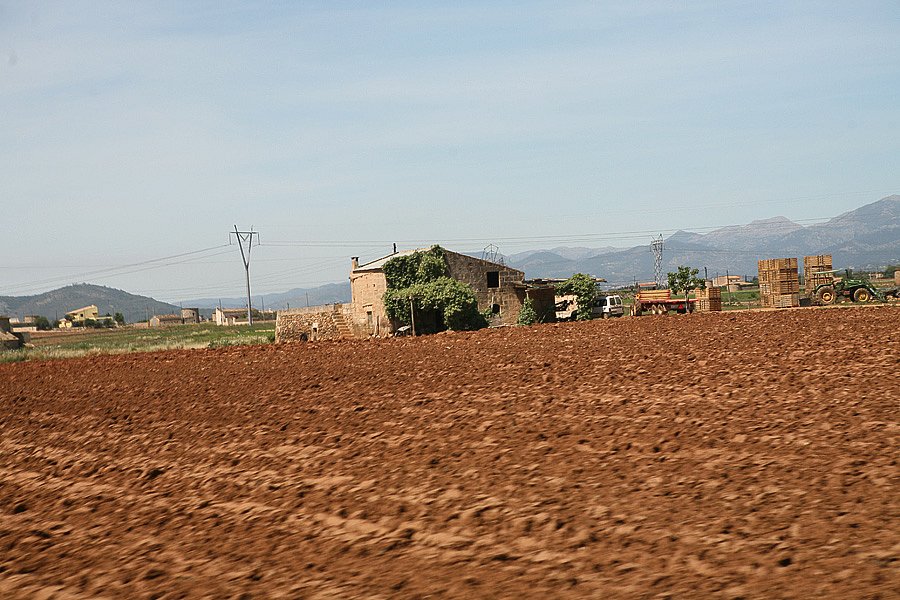 IMG-1976.jpg