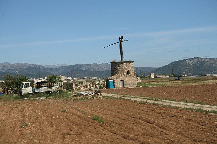 IMG-1977.jpg