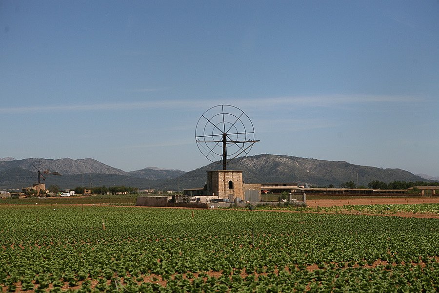 IMG-1978.jpg