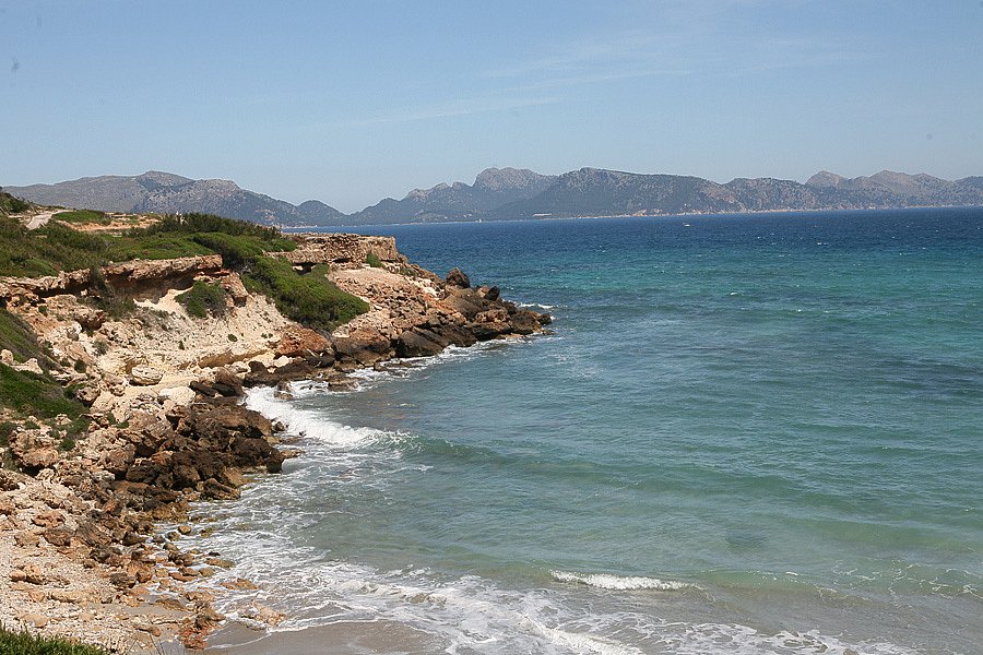 IMG-1986.jpg