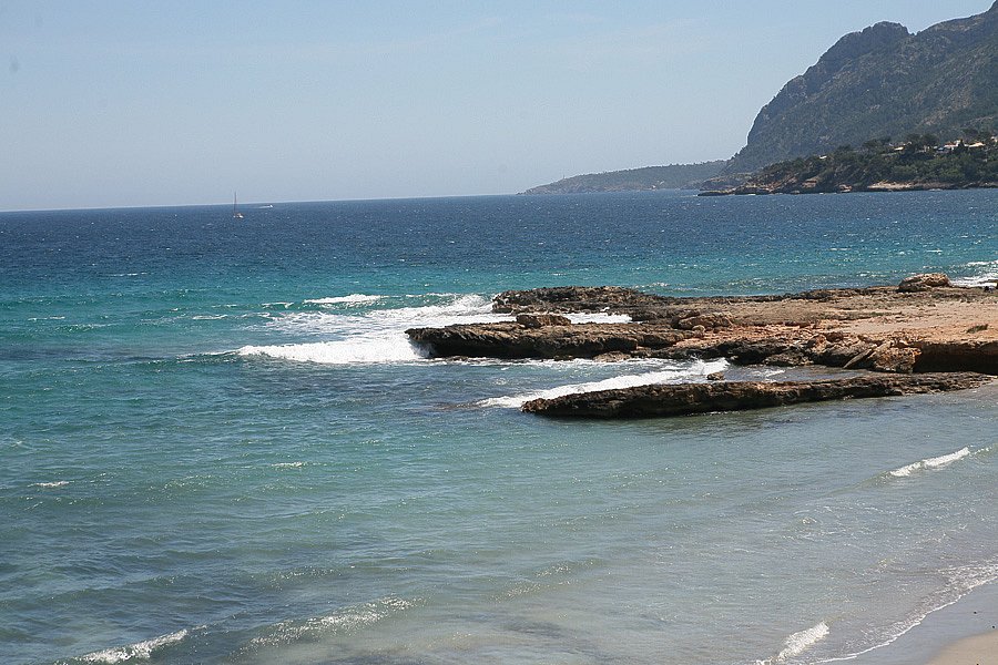 IMG-1987.jpg