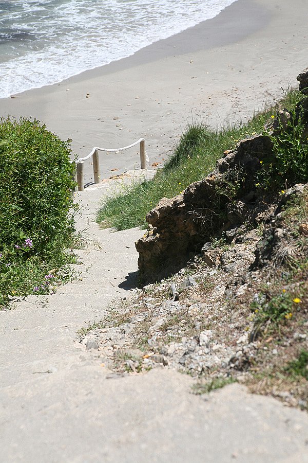 IMG-1991.jpg