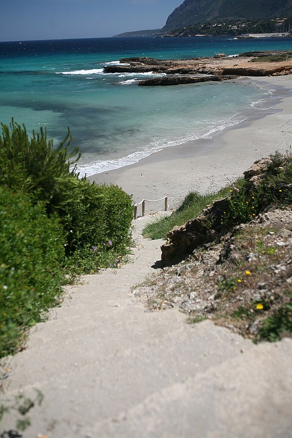 IMG-1992.jpg