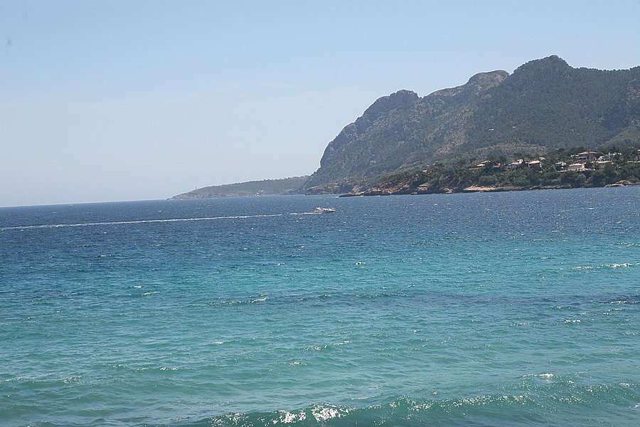IMG-1994.jpg