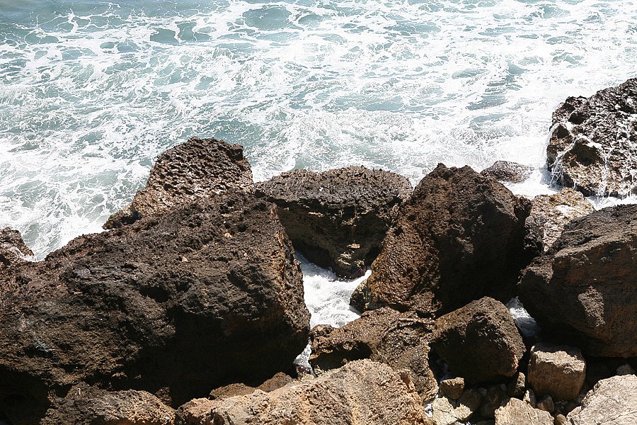 IMG-1995.jpg