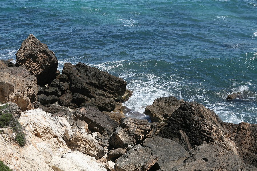 IMG-1996.jpg