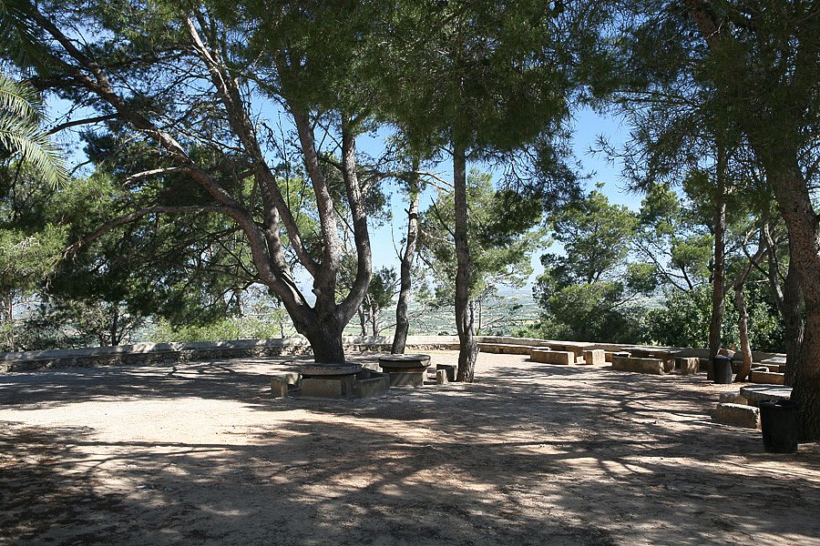 IMG-1960.jpg