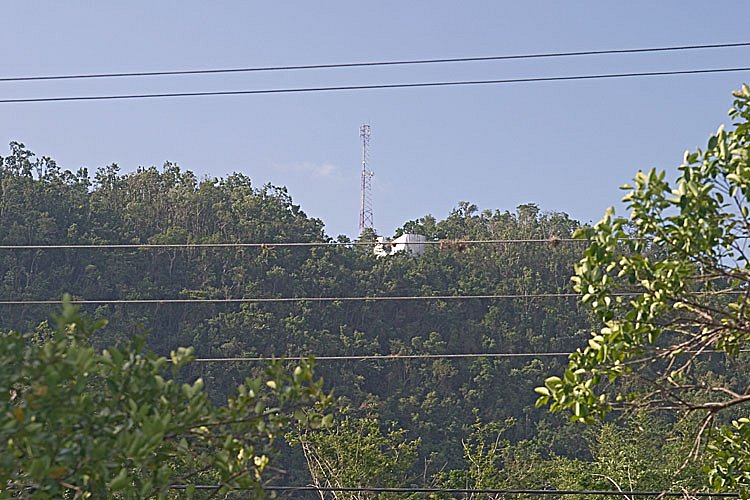 crw-2206.jpg