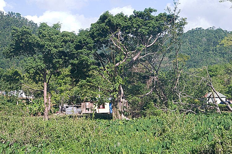 crw-2250.jpg