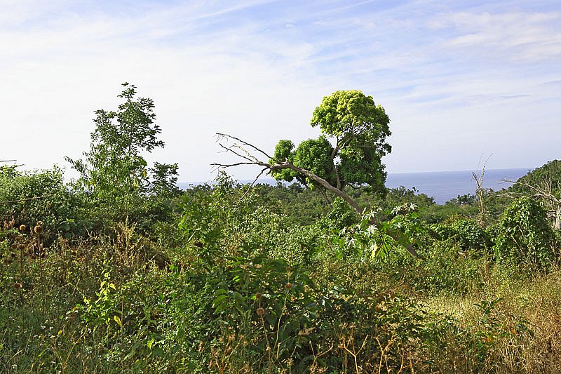 img-0727.jpg