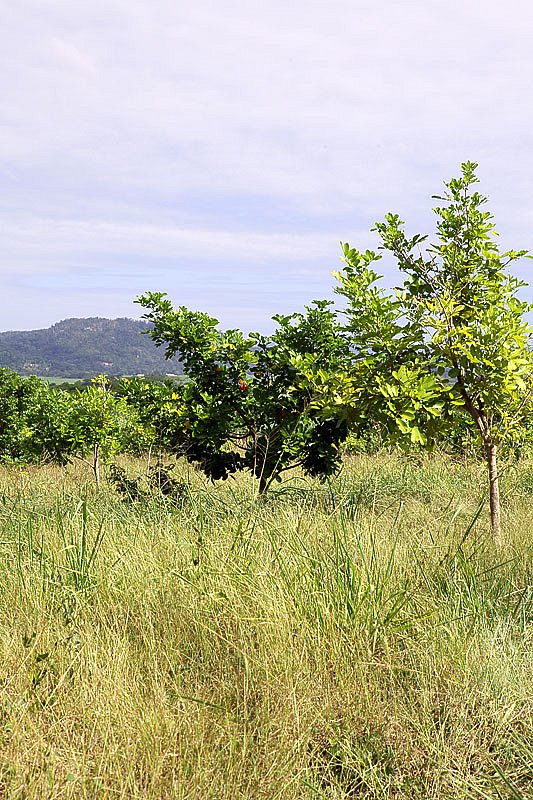 img-0732.jpg