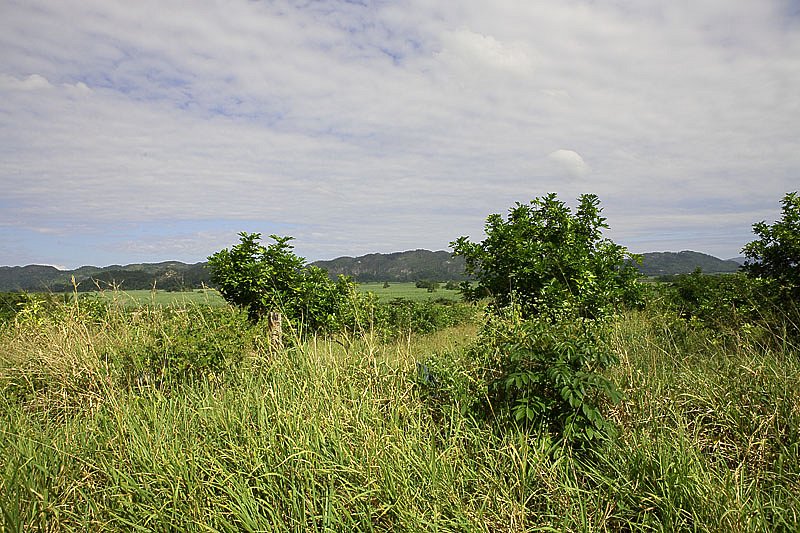 img-0733.jpg