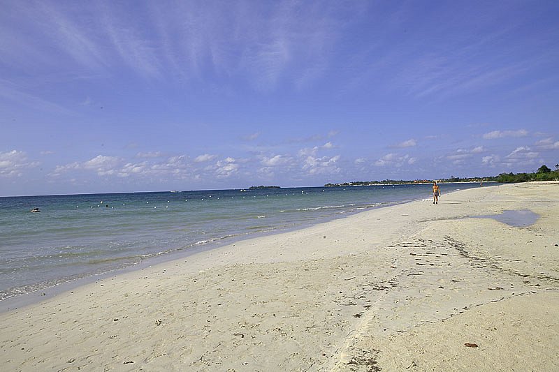 img-0739.jpg