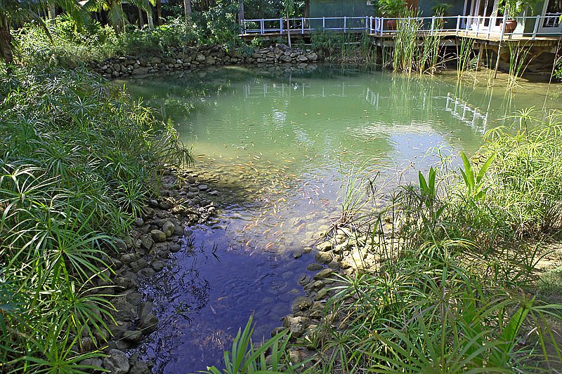 img-0656.jpg