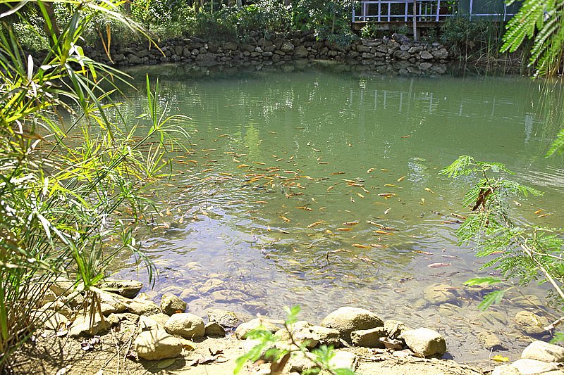 img-0658.jpg