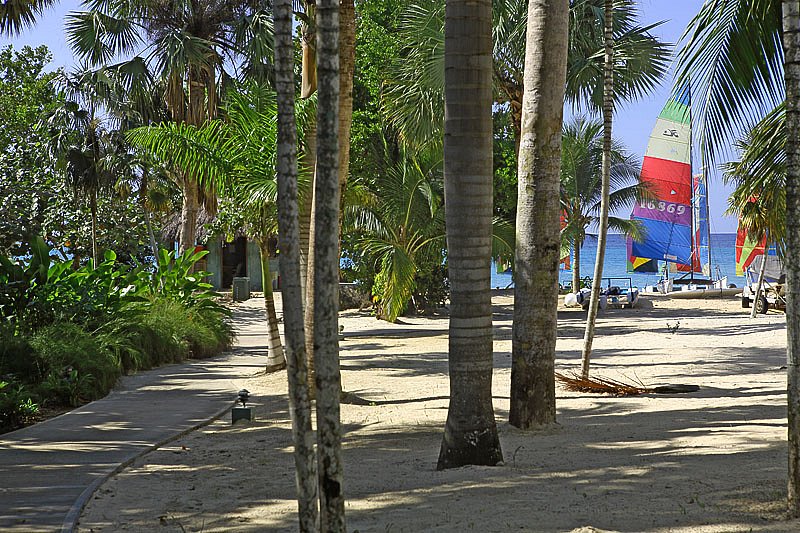 img-0664.jpg