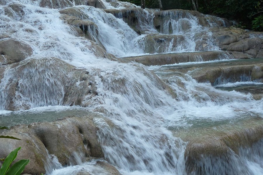 P1000664.jpg