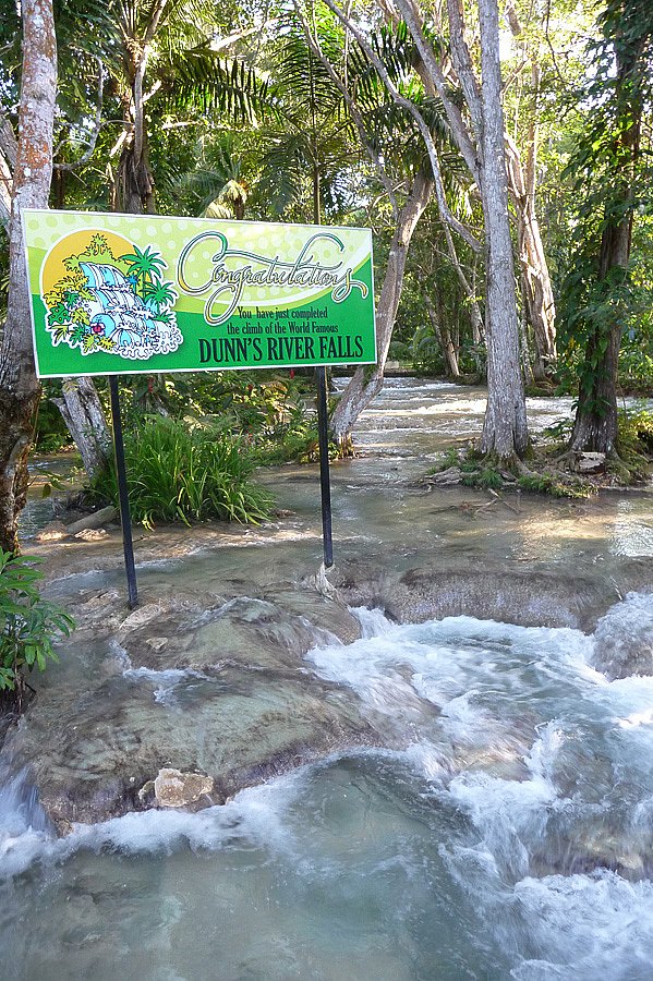 P1000677.jpg