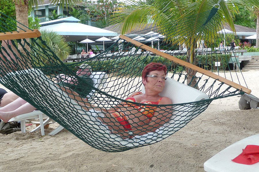 P1000694.jpg