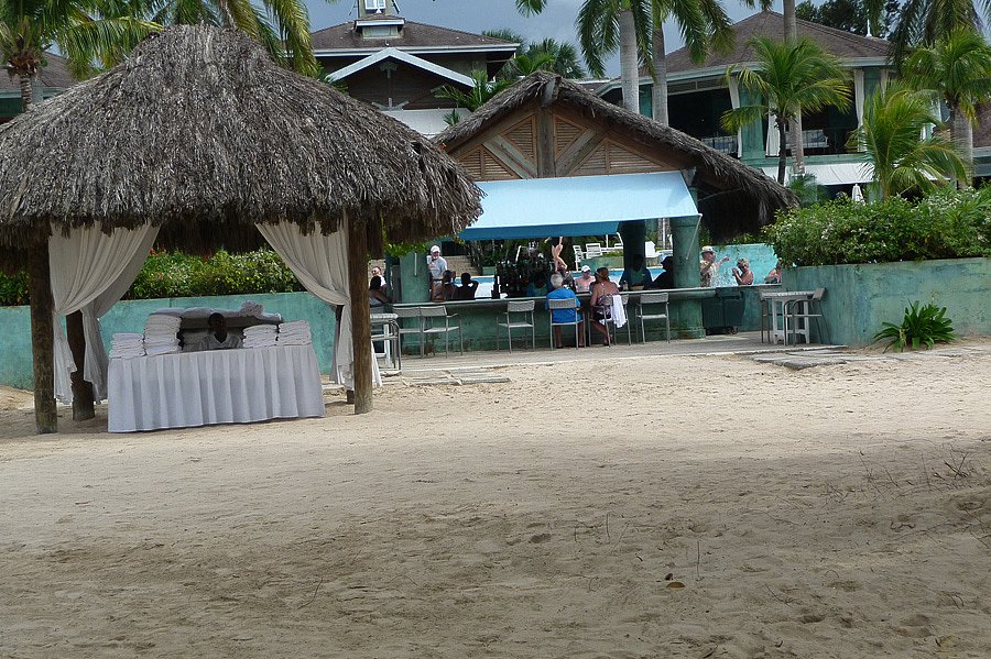 P1000718.jpg