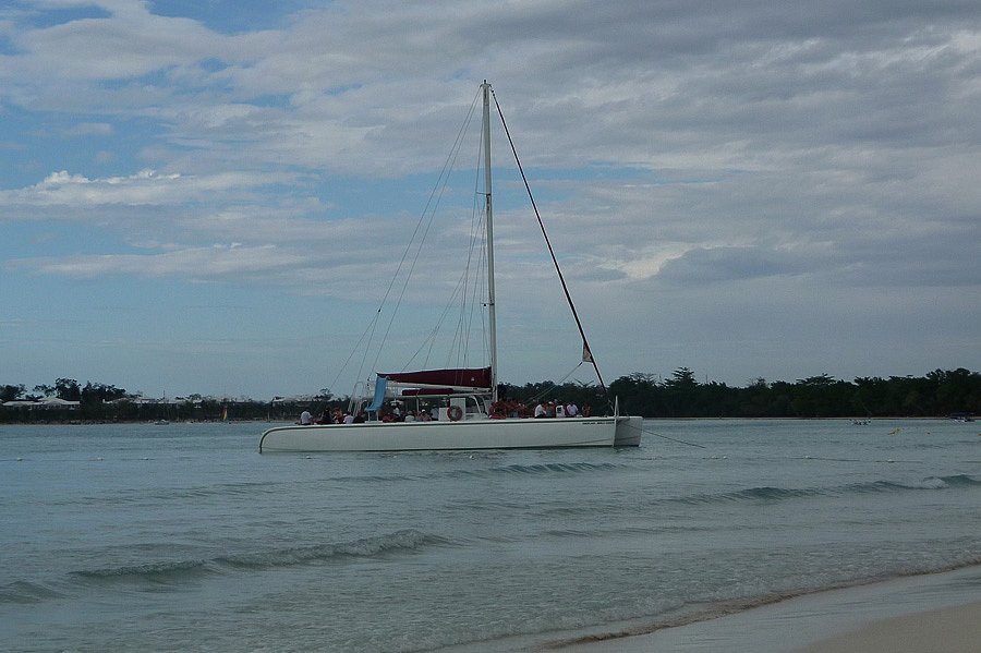 P1000745.jpg