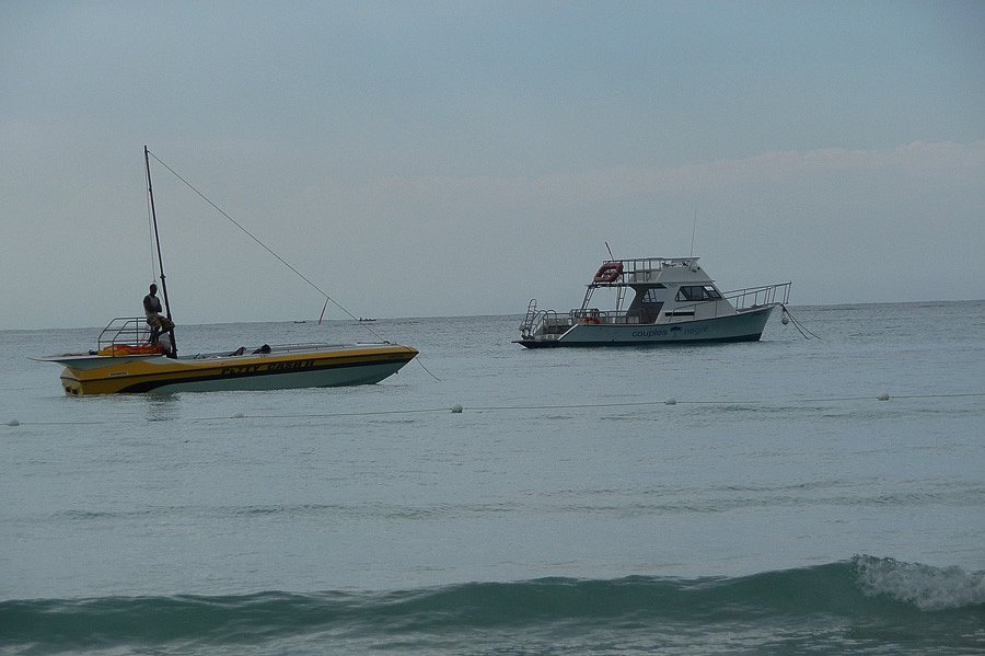 P1000748.jpg