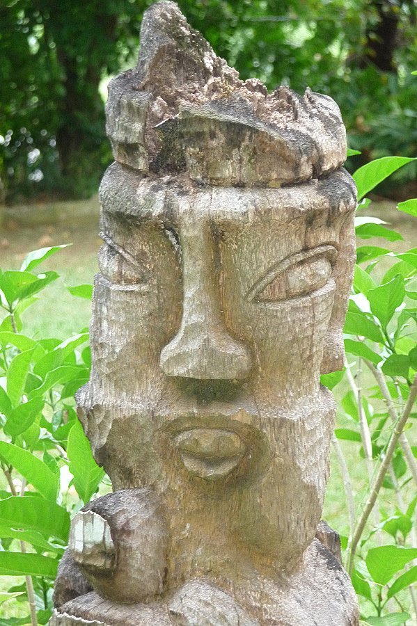 P1000750.jpg