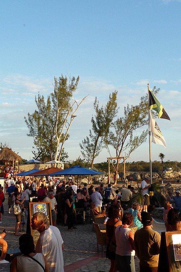 P1000405.jpg