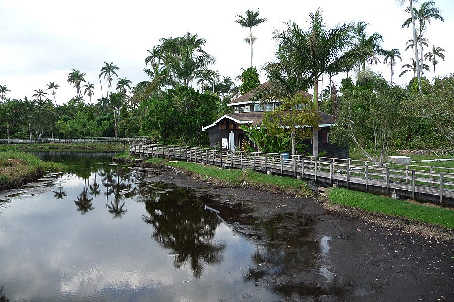 P1000445.jpg