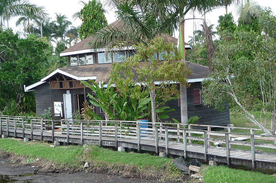 P1000446.jpg