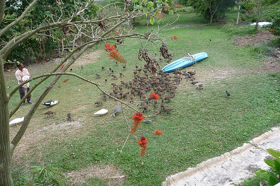 P1000447.jpg