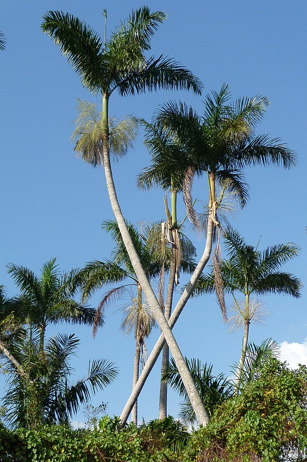P1000457.jpg