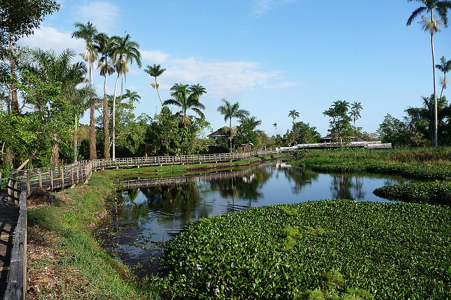 P1000458.jpg