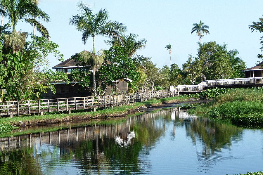 P1000459.jpg