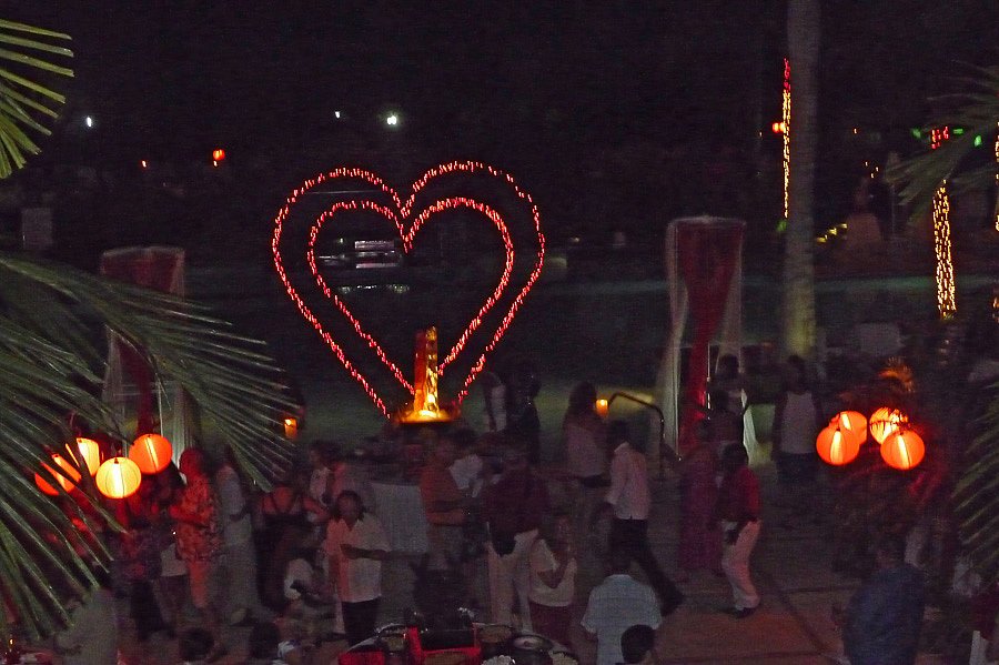 P1000473.jpg