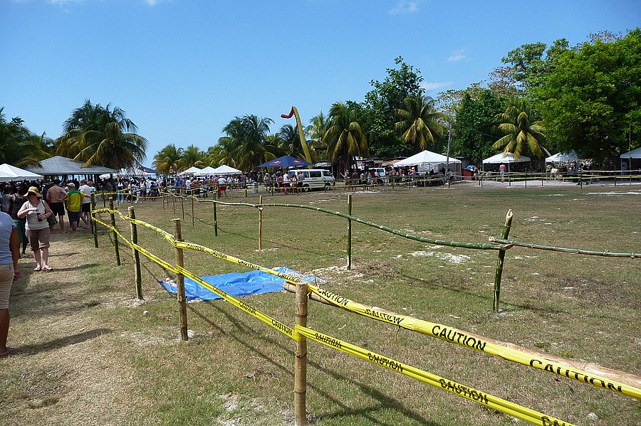 P1000474.jpg
