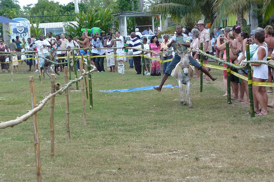 P1000480.jpg