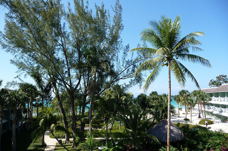 P1000491.jpg