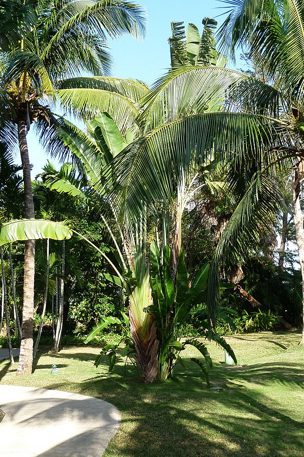 P1000515.jpg