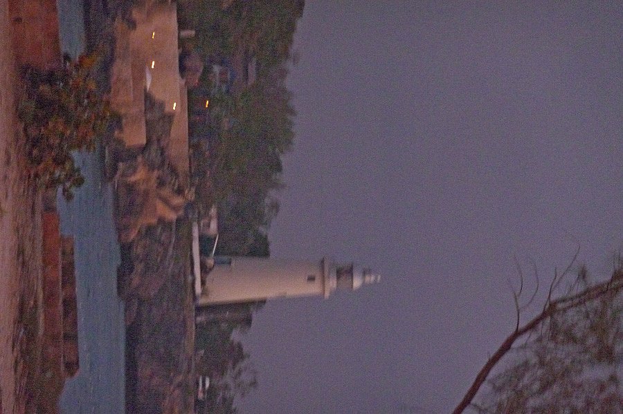 P1000556.jpg