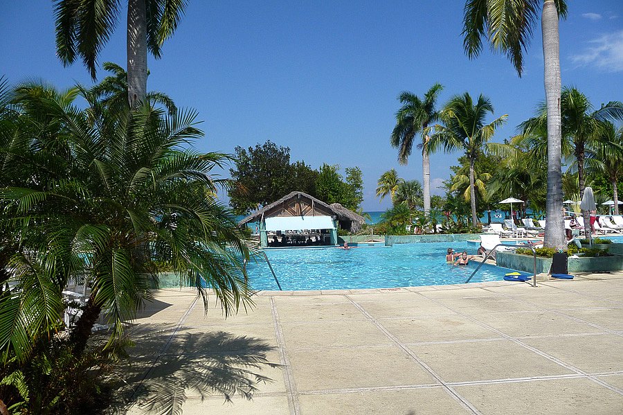 P1000563.jpg