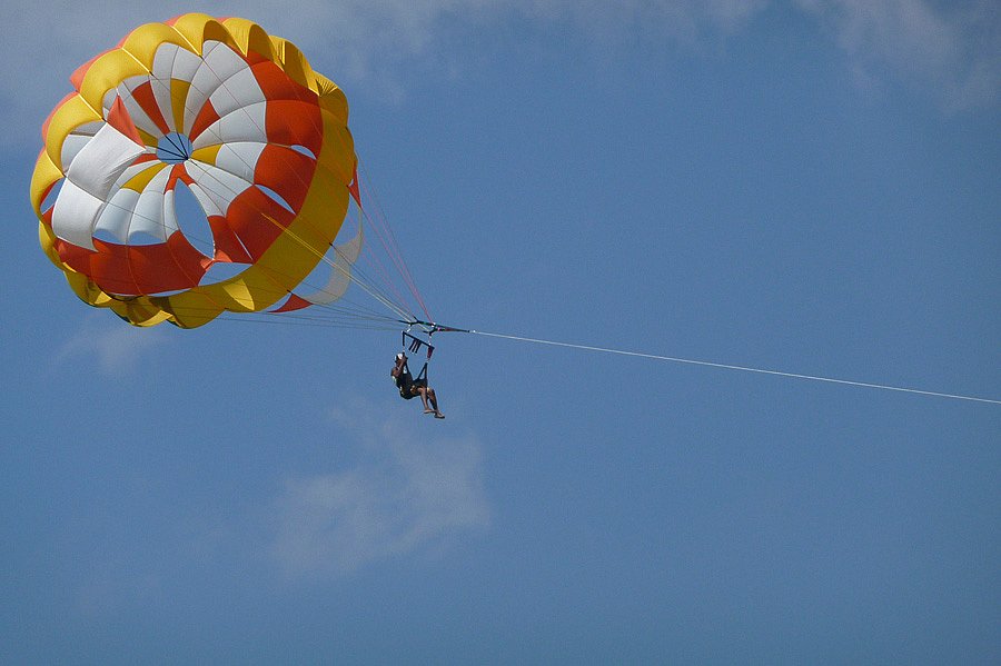 P1000569.jpg