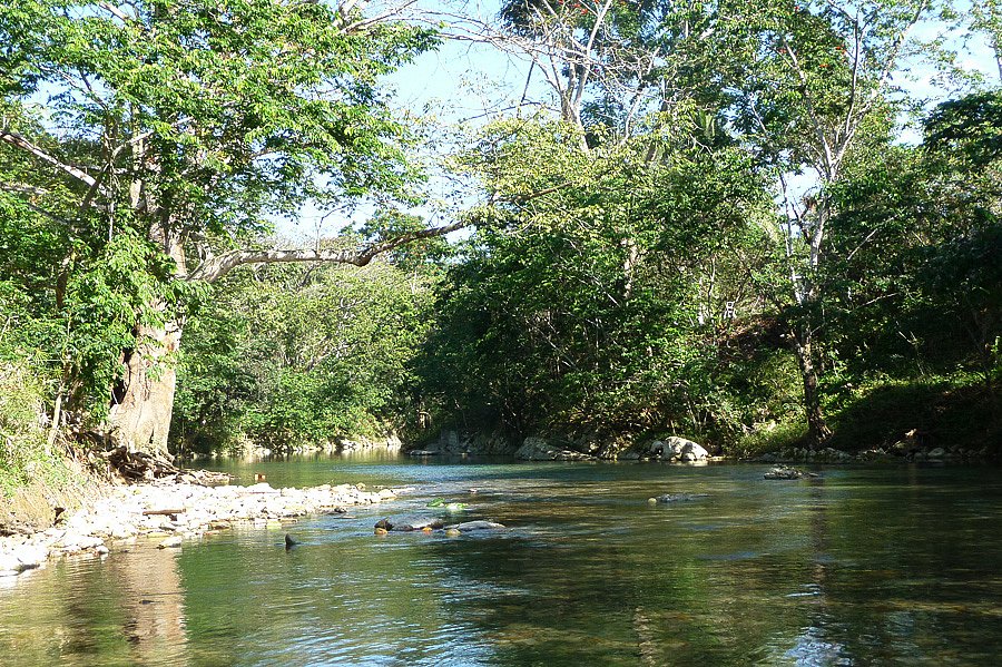 P1000592.jpg