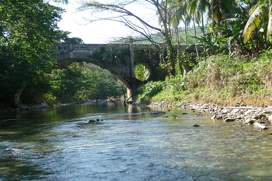 P1000594.jpg