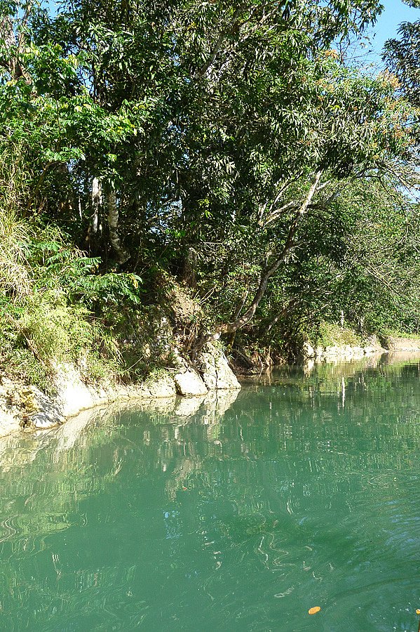 P1000599.jpg