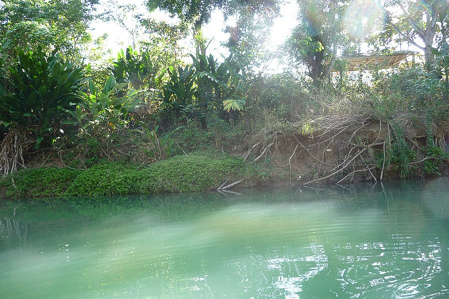 P1000600.jpg