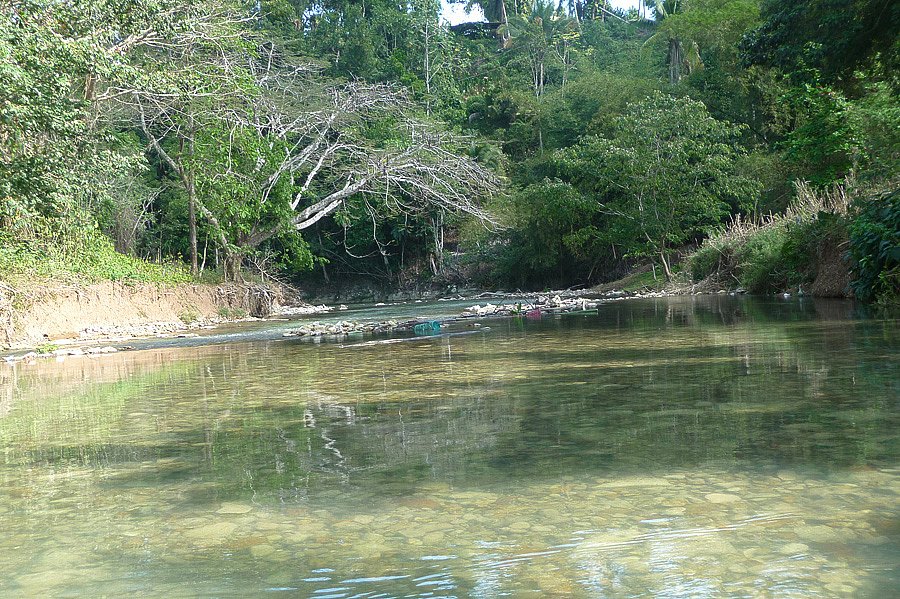 P1000602.jpg