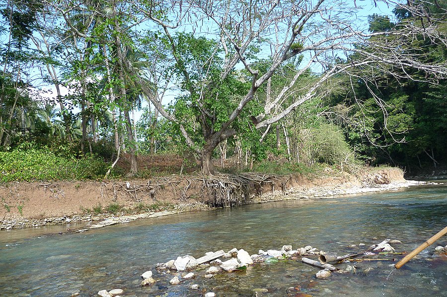 P1000603.jpg