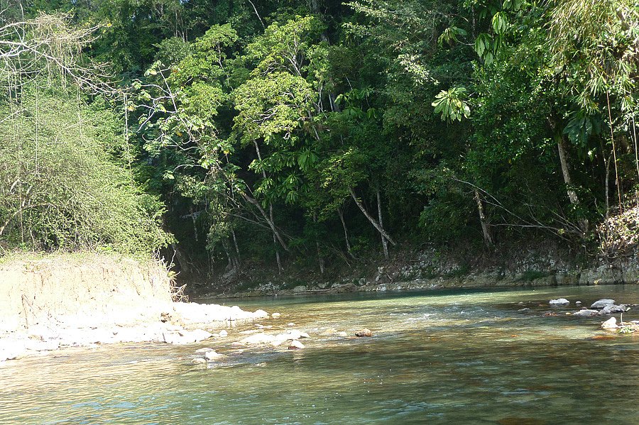P1000605.jpg