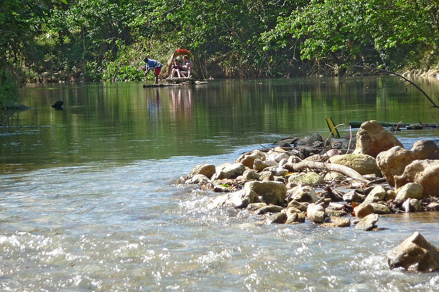 P1000606.jpg